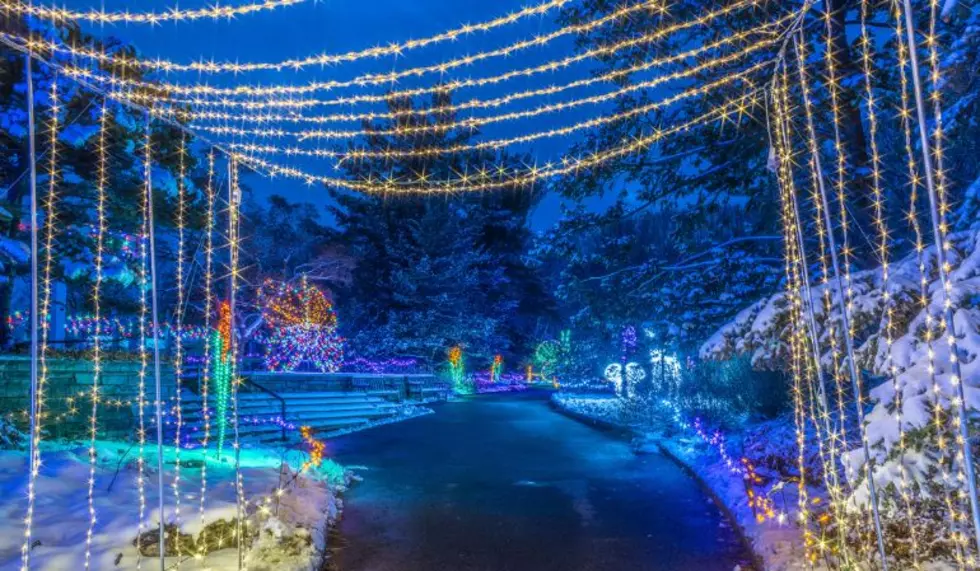 First ‘Date Night’ At Minnesota Arboretum Set For Thursday! No Kids Allowed!